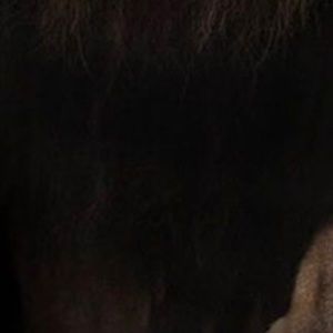 Meet your Posher, Dan